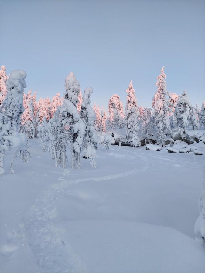 Villa Latvus Rovaniemi Bagian luar foto