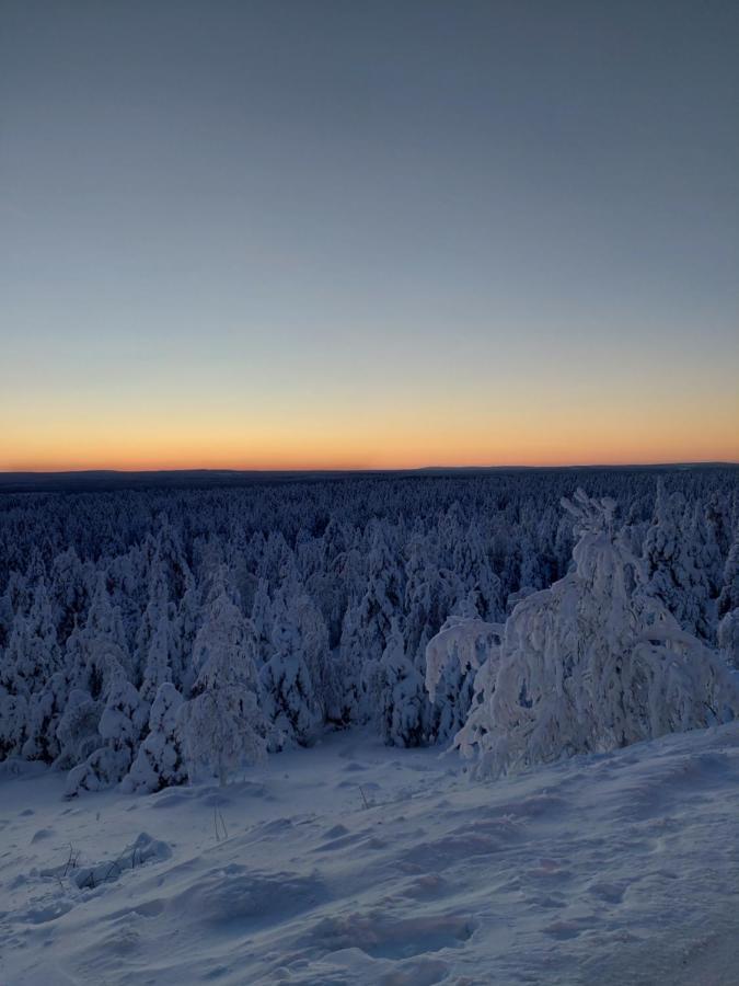 Villa Latvus Rovaniemi Bagian luar foto