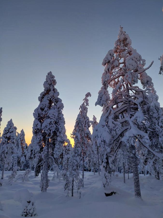Villa Latvus Rovaniemi Bagian luar foto