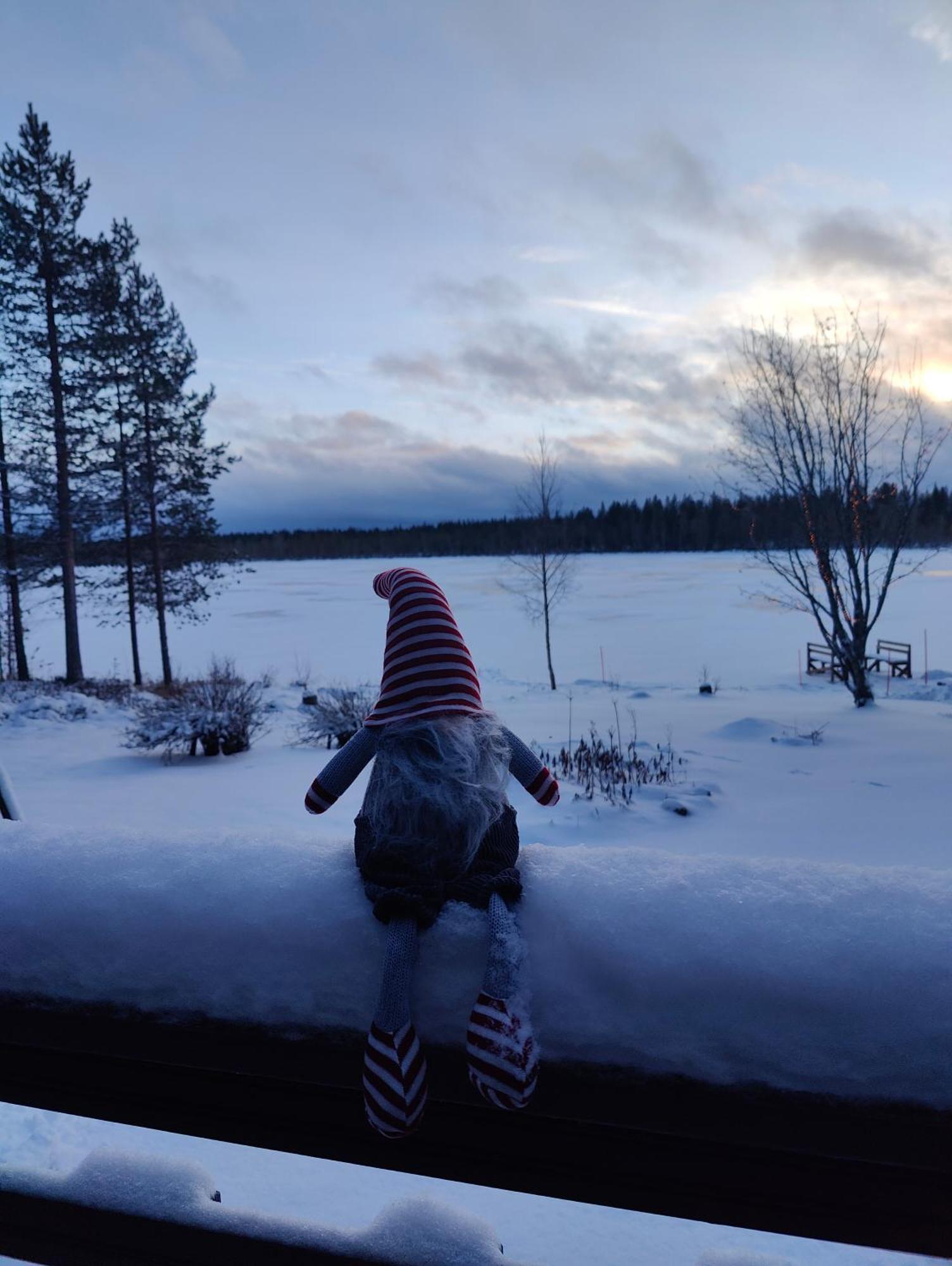 Villa Latvus Rovaniemi Bagian luar foto